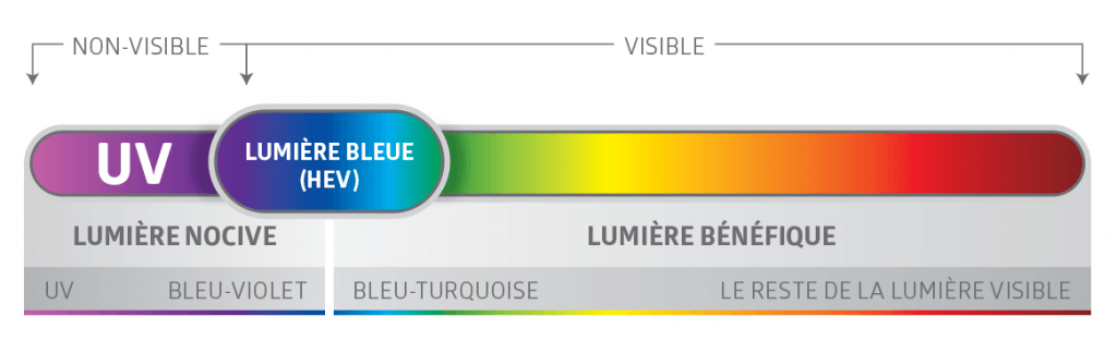 Spectre-lumière-bleue-Descary-Descary-optométristes-opticiens-Montréal-Plateau-Mont-Royal-rue-St-Denis-